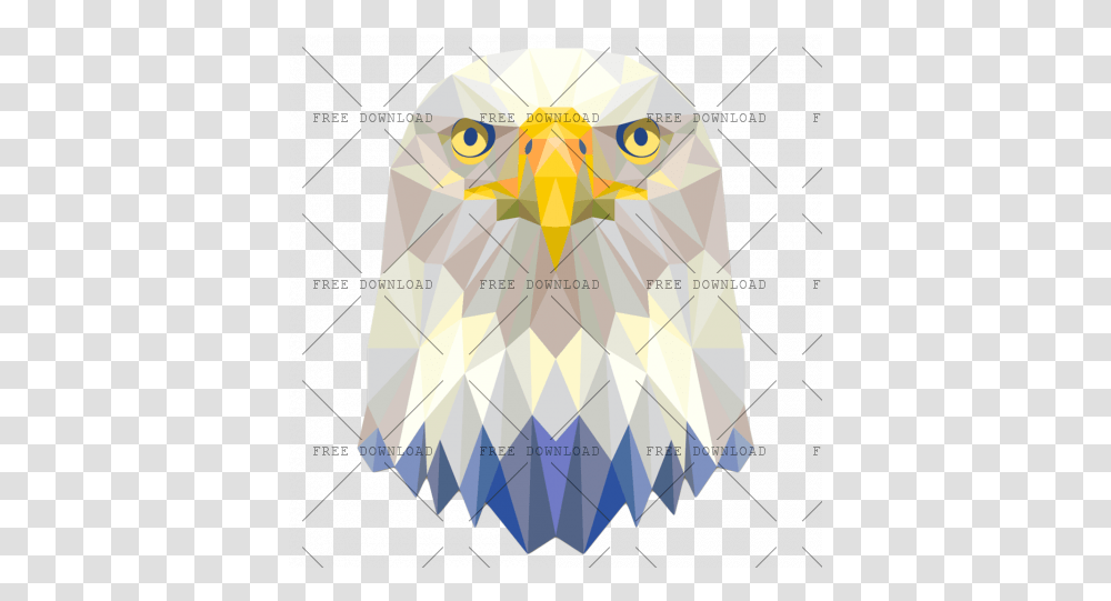 Eagle Hawk Kite Bird Image With Background Owl, Animal, Beak, Bald Eagle, Diamond Transparent Png