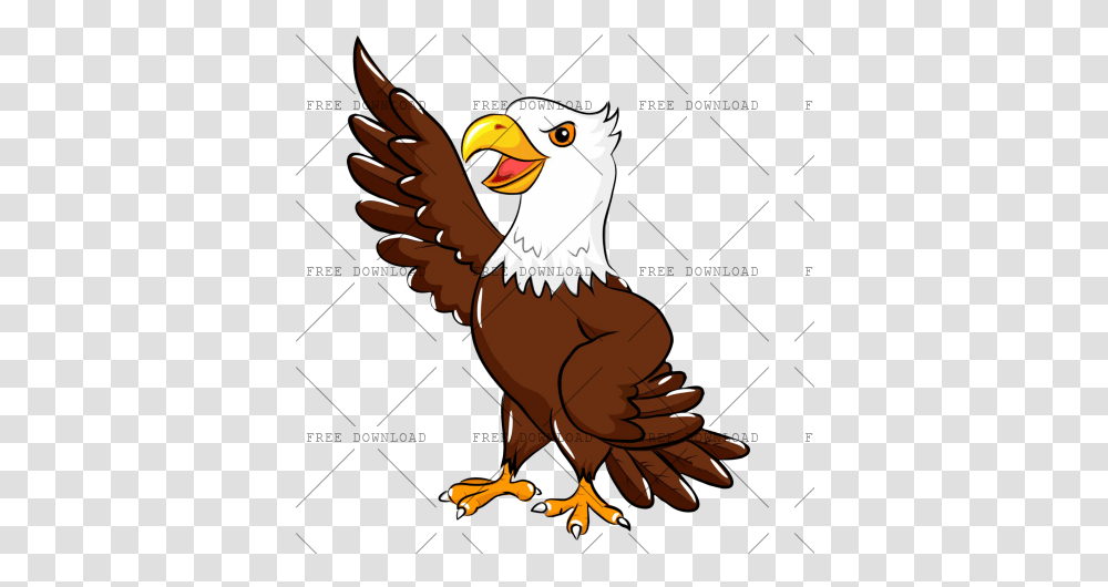 Eagle Hawk Kite Bird Image With Background Turkey, Animal, Beak, Bald Eagle, Flying Transparent Png