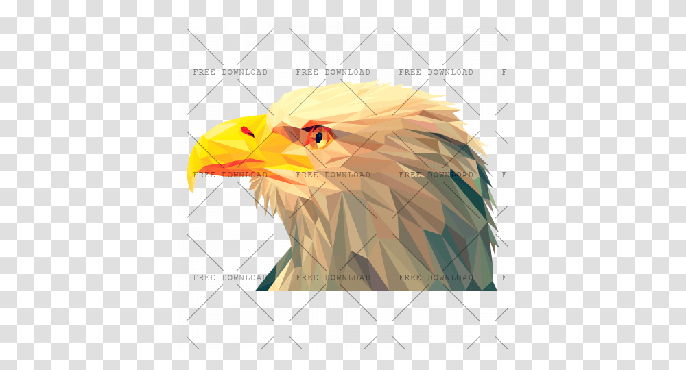 Eagle Hawk Kite Bird Image With Background Vulture, Beak, Animal, Tent, Bald Eagle Transparent Png