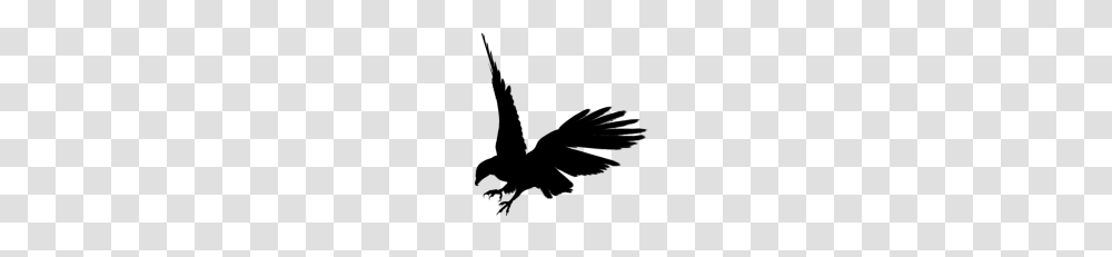 Eagle Hd, Gray, World Of Warcraft Transparent Png