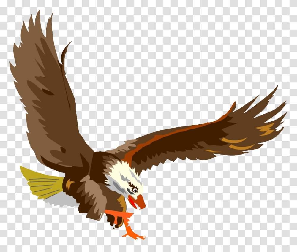 Eagle Hd Photos Free Download, Bird, Animal, Flying, Vulture Transparent Png