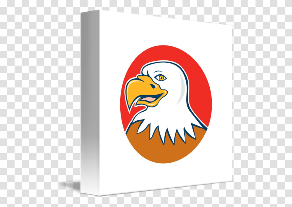 Eagle Head Bald Eagle, Bird, Animal, Fowl, Poultry Transparent Png