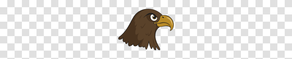 Eagle Head, Bird, Animal, Beak, Dodo Transparent Png