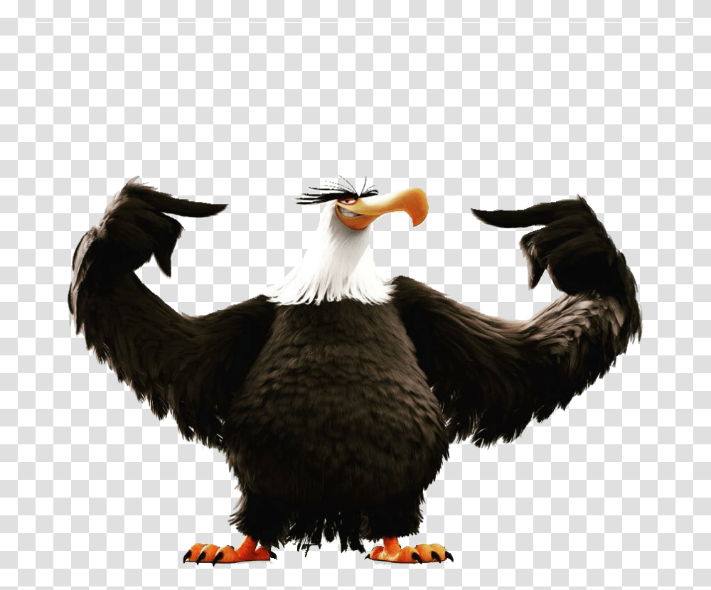 Eagle Head Clipart Angry Birds 2 Eagle, Animal, Chicken, Poultry, Fowl Transparent Png