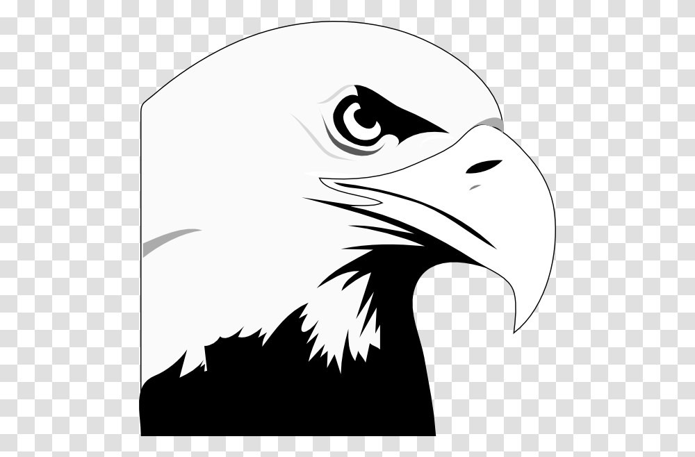 Eagle Head Clipart, Bird, Animal, Bald Eagle, Beak Transparent Png