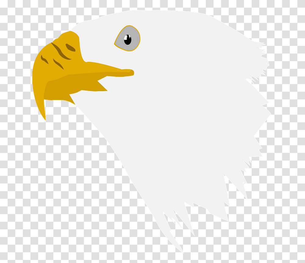Eagle Head Clipart Illustration, Beak, Bird, Animal, Seagull Transparent Png