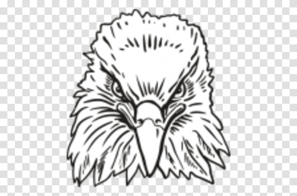 Eagle Head Front View, Bird, Animal, Bald Eagle, Beak Transparent Png