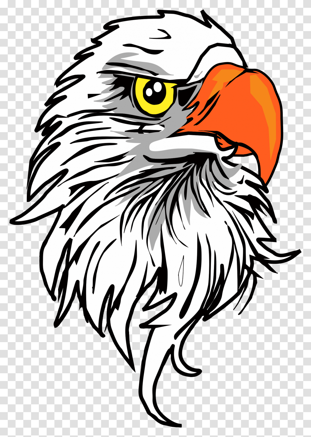 Eagle Head Icons, Bird, Animal, Bald Eagle, Tiger Transparent Png