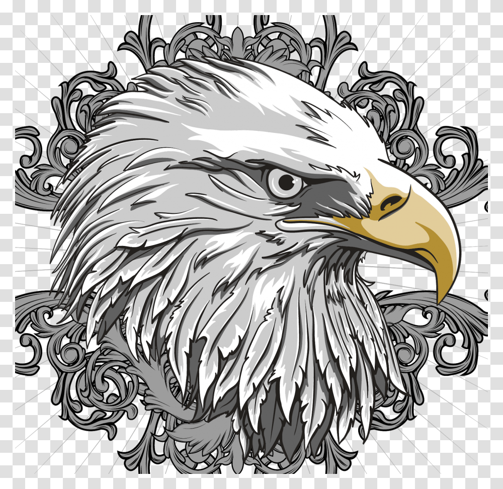 Eagle Head Logo, Bird, Animal, Bald Eagle, Beak Transparent Png