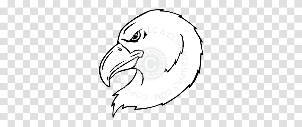 Eagle Head Looking Left Illustration, Beak, Bird, Animal, Helmet Transparent Png