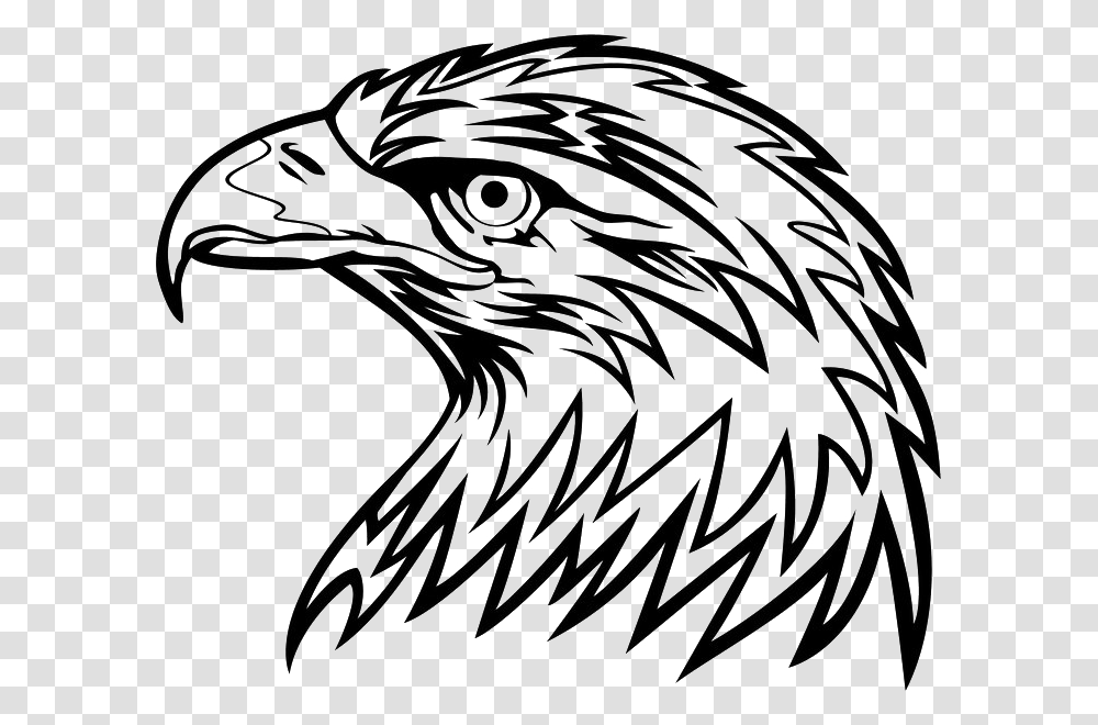 Eagle Head Picture Cool Black And White Clipart, Bird, Animal, Bald Eagle Transparent Png