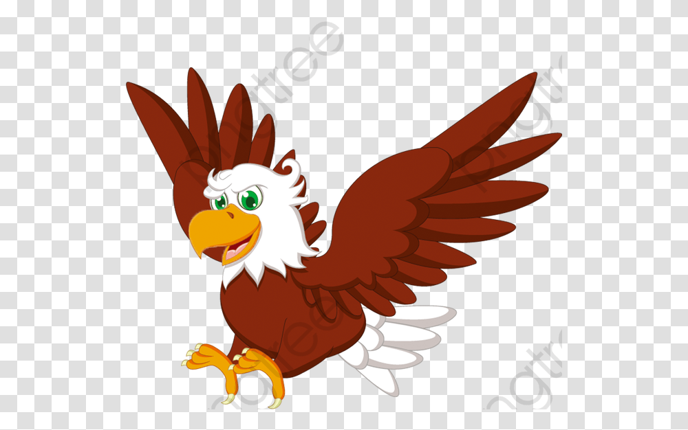 Eagle Head Vector Cartoon Eagle Clipart, Bird, Animal, Poultry, Fowl Transparent Png