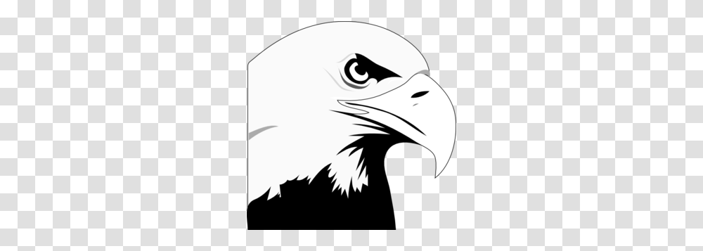 Eagle Images Icon Cliparts, Bird, Animal, Bald Eagle, Beak Transparent Png
