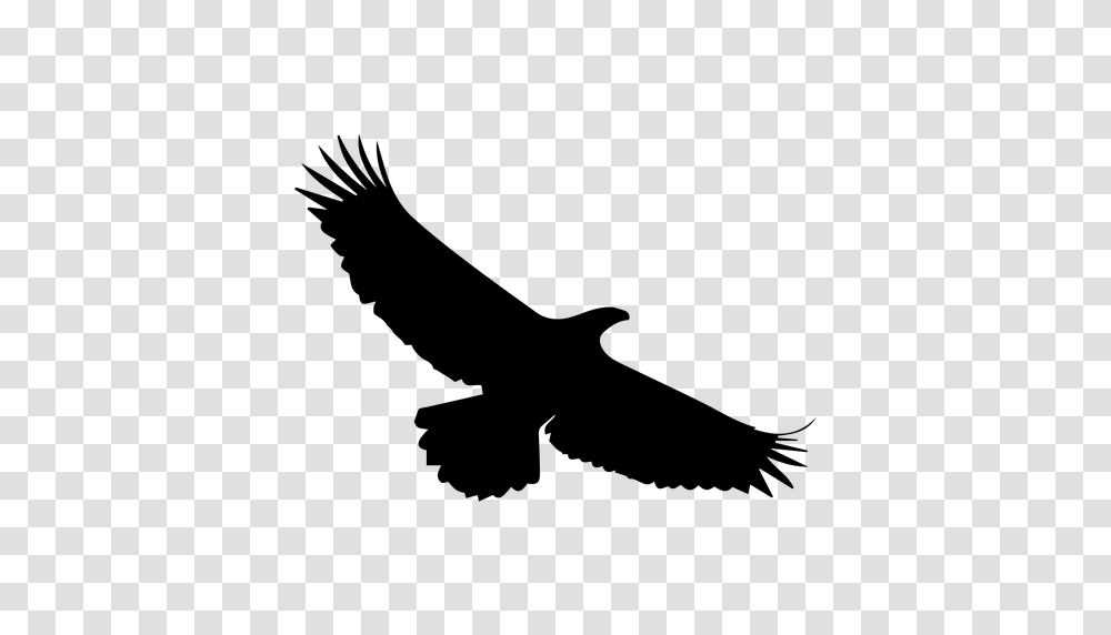 Eagle In Sky Silhouette, Gray, World Of Warcraft Transparent Png