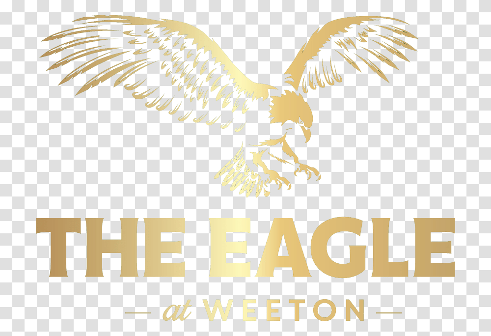Eagle Logo Island In Pigeon Forge Logo, Vulture, Bird, Animal, Hawk Transparent Png