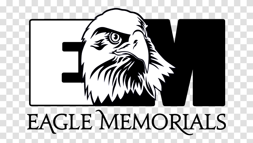 Eagle Memorials Peachtree Corners Festival, Bird, Animal, Bald Eagle, Zebra Transparent Png