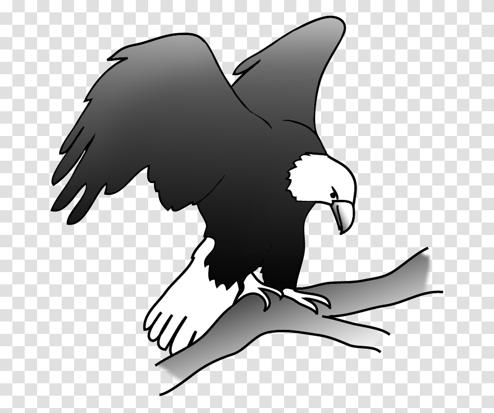 Eagle On A Branch In A Tree Eagle On Branch Drawing, Bird, Animal, Vulture, Bald Eagle Transparent Png