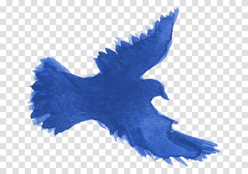 Eagle, Person, Logo, Pattern Transparent Png