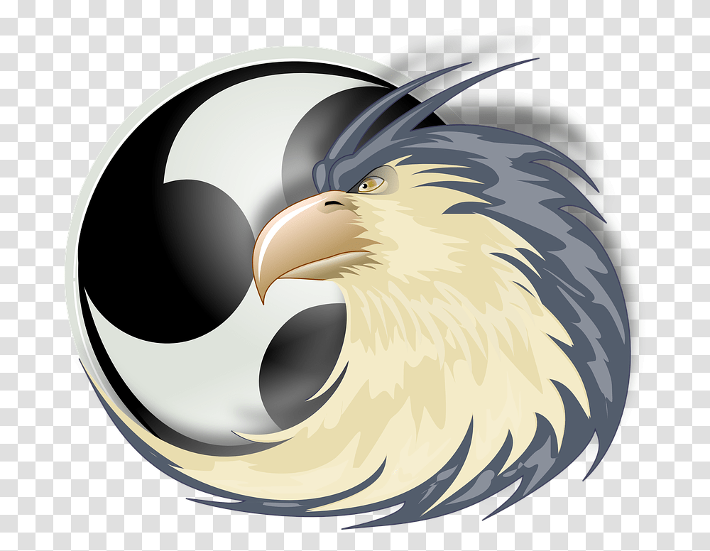 Eagle Raptor Bird Of Prey Free Vector Graphic On Pixabay Aguia De Rapina Desenho, Animal, Beak, Bald Eagle Transparent Png