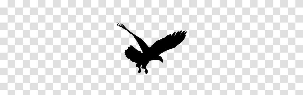 Eagle Round Icon, Gray, World Of Warcraft Transparent Png