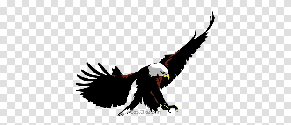 Eagle Royalty Free Vector Clip Art Illustration, Bird, Animal, Bald Eagle, Flying Transparent Png