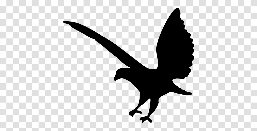 Eagle Silhouette Cliparts, Gray, World Of Warcraft Transparent Png