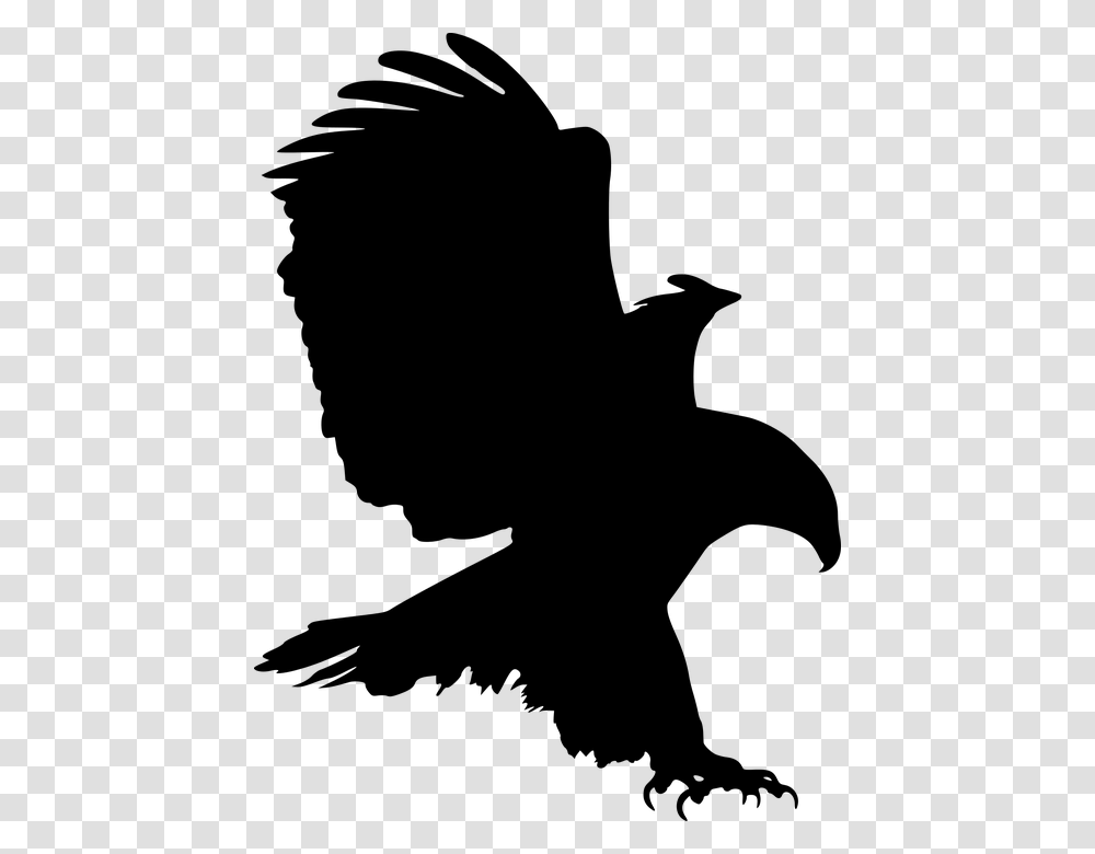 Eagle Silhouette Eagle Vector Eagle Logo Background Eagle Clip Art, Gray, World Of Warcraft Transparent Png