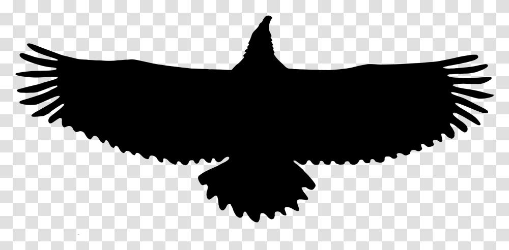 Eagle Silhouette, Gray, World Of Warcraft Transparent Png