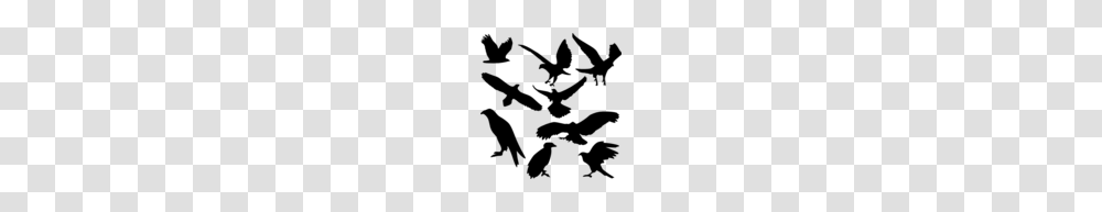 Eagle Silhouettes Clipart, Gray, World Of Warcraft Transparent Png