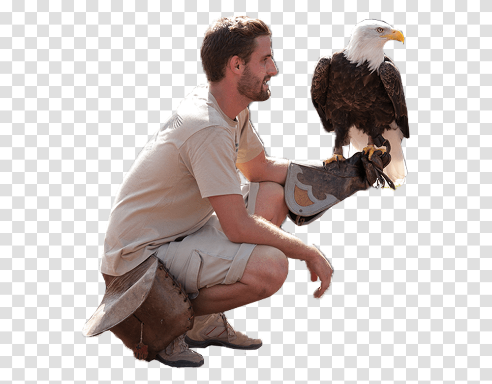 Eagle Sitting, Person, Human, Bird, Animal Transparent Png