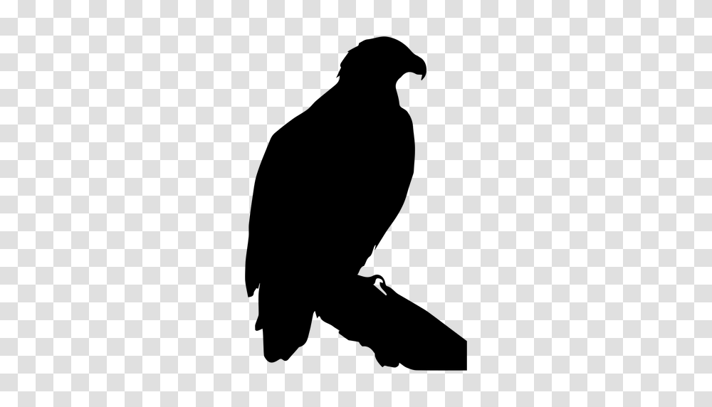 Eagle Standing Silhouette, Gray, World Of Warcraft Transparent Png