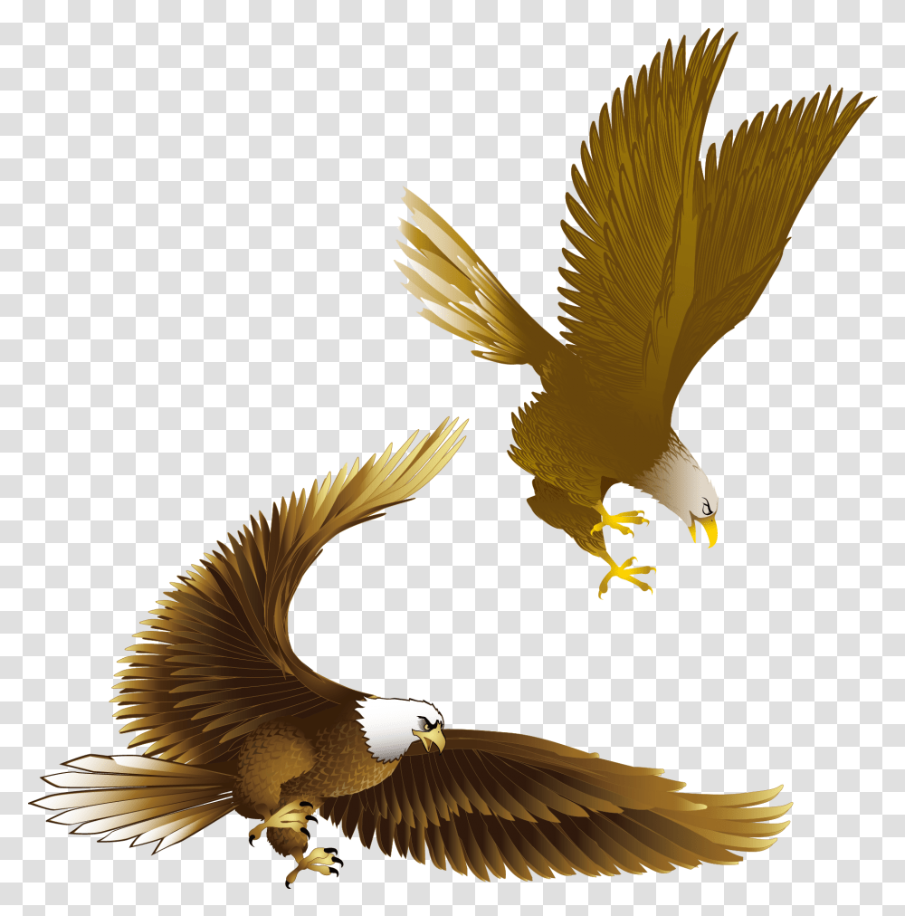 Eagle Symbol Drawing Eagle, Bird, Animal, Bald Eagle, Flying Transparent Png