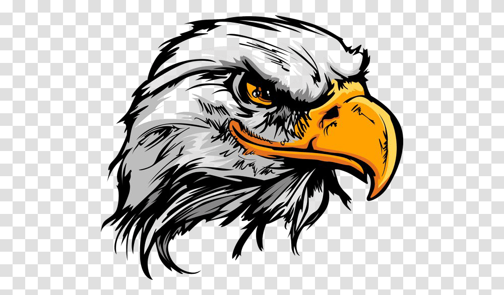 Eagle Tattoo Photo Eagle Head, Bird, Animal, Bald Eagle, Zebra Transparent Png