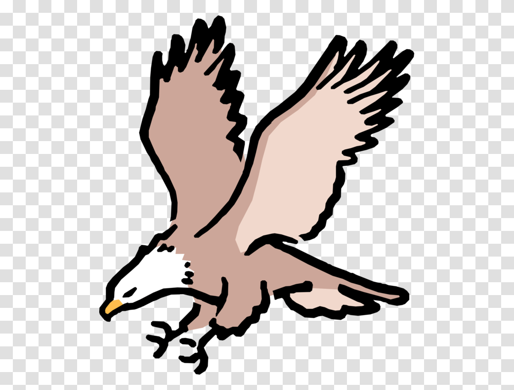 Eagle Vector American Bald Eagle Cartoon, Bird, Animal, Person, Human Transparent Png