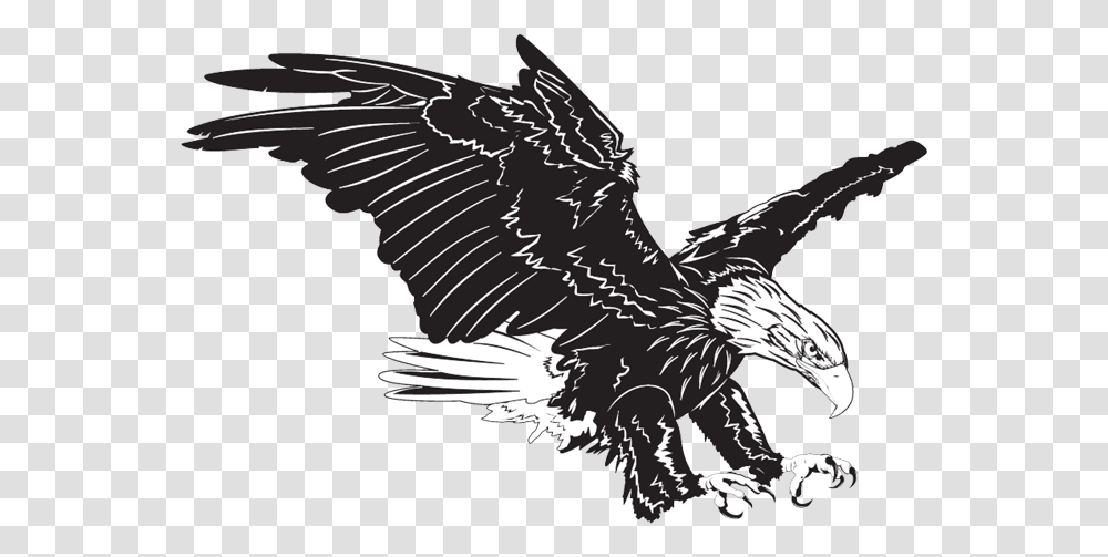 Eagle Vector, Bird, Animal, Dinosaur, Reptile Transparent Png