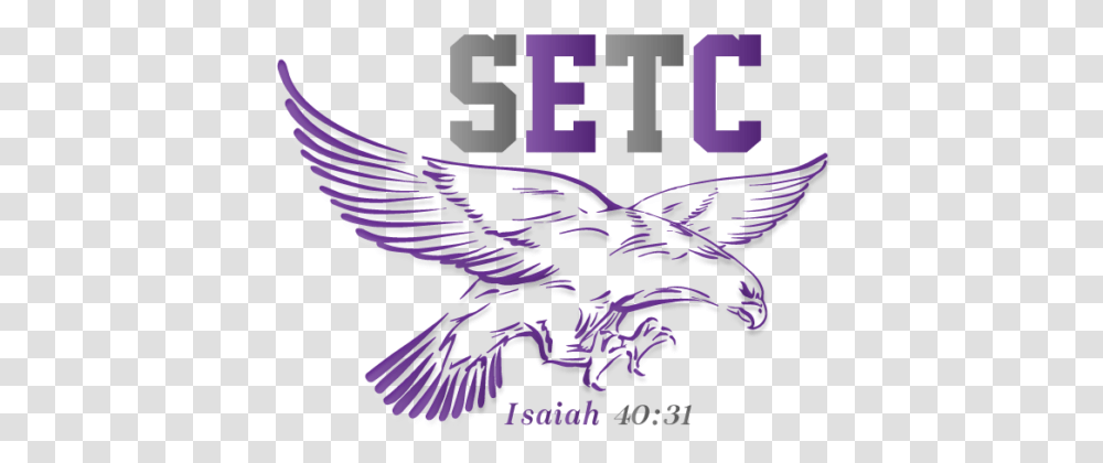 Eagle Vector, Purple, Bird, Animal Transparent Png