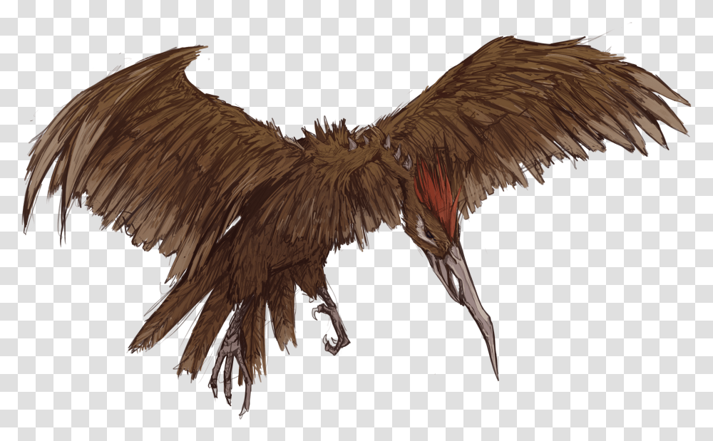 Eagle, Vulture, Bird, Animal, Condor Transparent Png