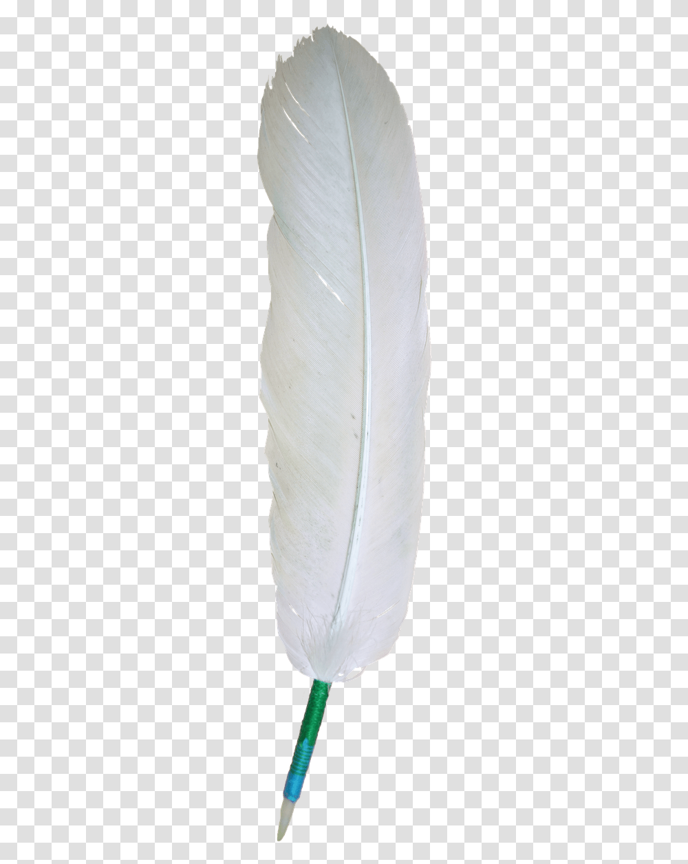 Eagle White Feather, Sea, Outdoors, Water, Nature Transparent Png