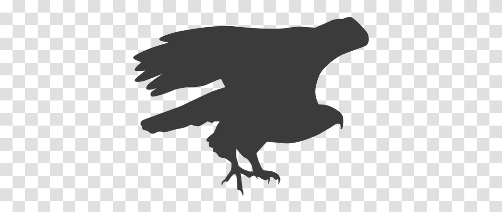 Eagle Wing Fly Flying Beak Talon Silhouette Bird Automotive Decal, Animal, Mammal, Dinosaur, Reptile Transparent Png