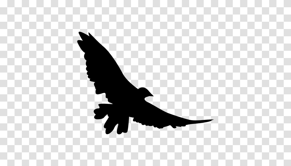 Eagle Wings Flying, Vulture, Bird, Animal, Condor Transparent Png