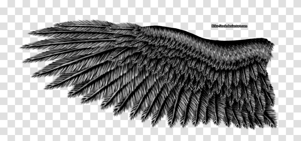 Eagle Wings Image Black Eagle Wings, Bird, Animal, Fractal, Pattern Transparent Png