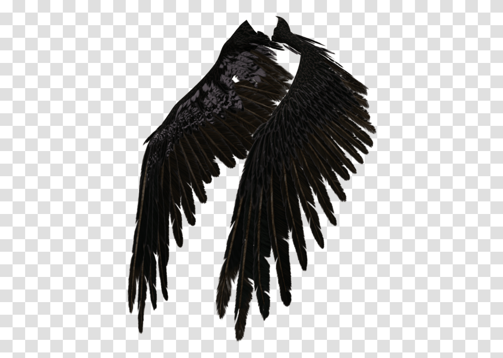 Eagle Wings Spread Clipart Black And White Black Angel Wings, Bird, Animal, Vulture, Flying Transparent Png