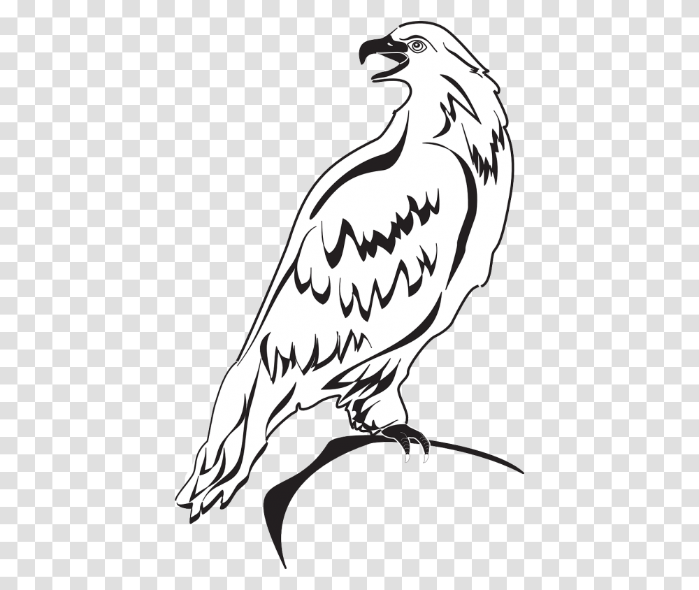 Eagle Wings Spread Clipart Clip Art Outline Image Of Eagle, Vulture, Bird, Animal, Condor Transparent Png