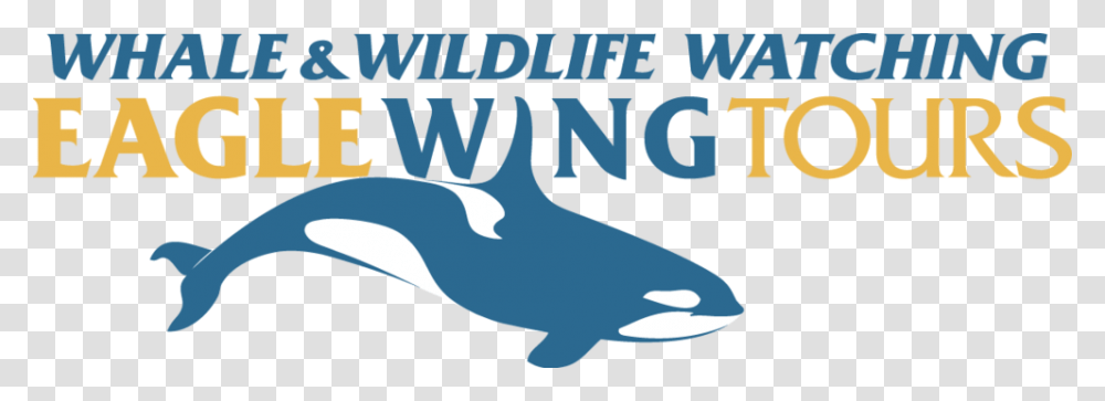Eagle Wings Tours, Sea Life, Animal, Orca, Mammal Transparent Png