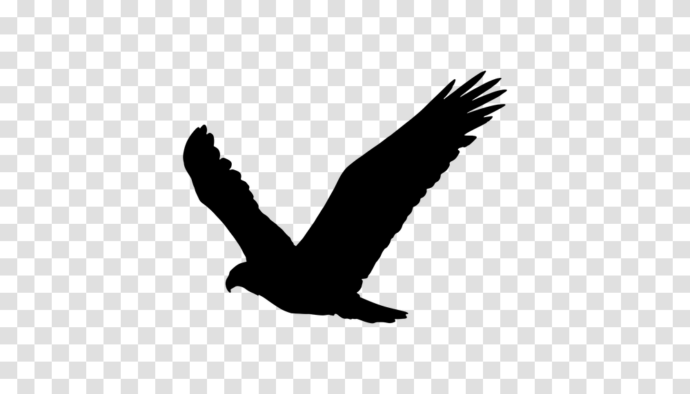 Eagle Wings Up Silhouette, Gray, World Of Warcraft Transparent Png