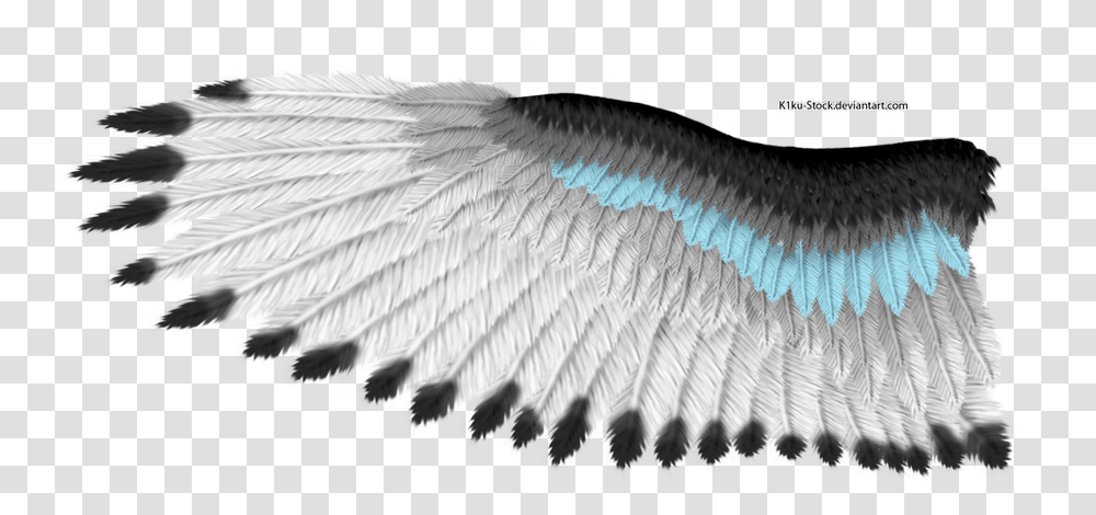 Eagle Wings White Feather Texture Eagle, Bird, Animal Transparent Png