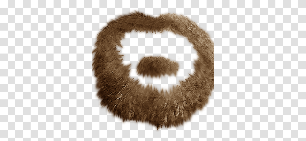 Eagle With A Goatee Sole, Rug, Nature, Animal, Outdoors Transparent Png