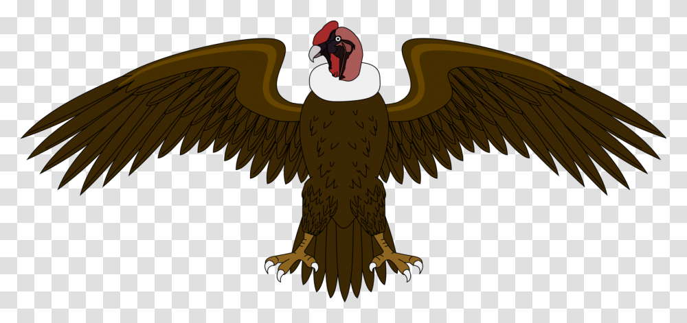 Eaglebald Eaglevulture El Condor Del Escudo De Colombia, Bird, Animal, Dinosaur, Reptile Transparent Png