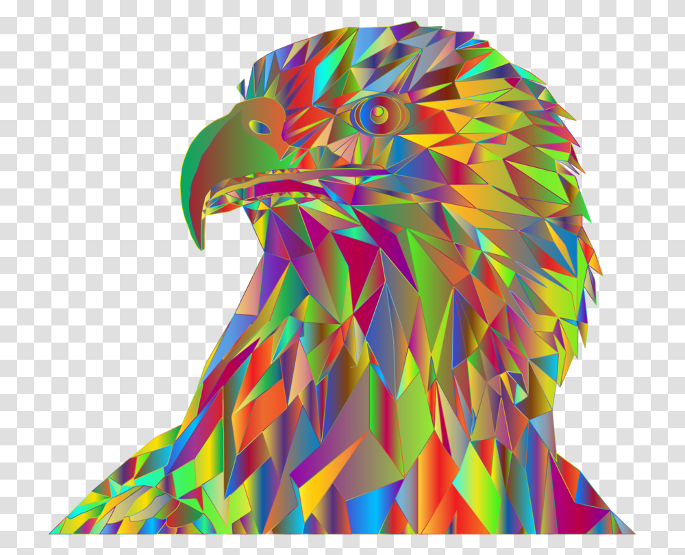 Eaglebirdbald Eagle Illustration, Animal, Pattern Transparent Png