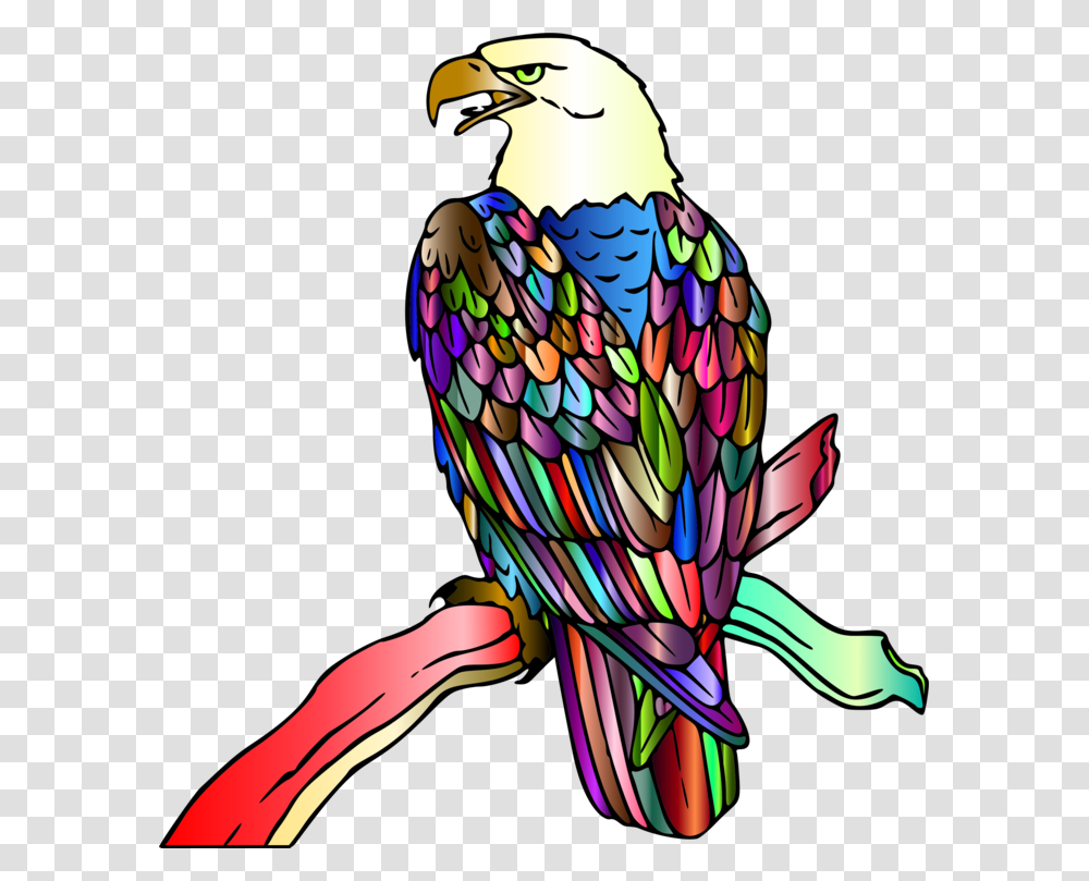 Eaglefalconiformeskite Bald Eagle Coloring Page, Bird, Animal, Beak Transparent Png